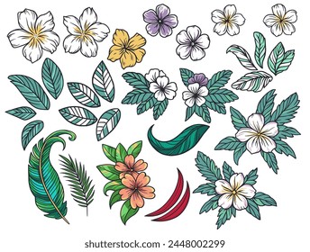 Summer flower set for Hawaii beach. Exotic plant collection, tropical palm leaves and nature tropic blooms for floral design.