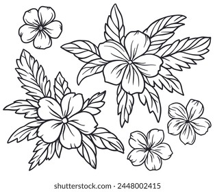 Summer flower set for Hawaii beach. Exotic plant collection, tropical palm leaves and nature tropic blooms for floral design. Monochrome outline style or black and white lines.