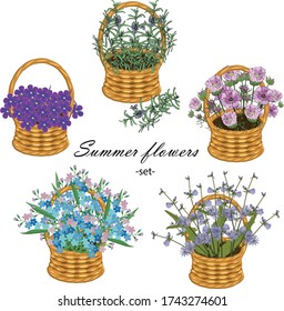 Summer flower set. Space, forget-me-not, chicory, forget-me-not, violet in wicker basket art design stock vector illustration for product design, for packing design, for web, for print