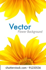 Summer flower vector background