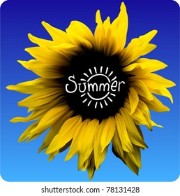 summer flower vector design, sunflower illustration
