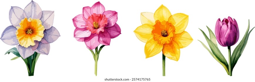 Summer Flower vector, individual flower with transparent background