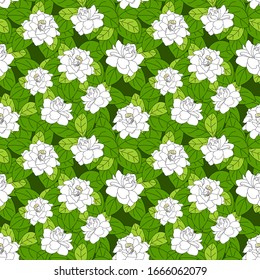71 imágenes de Gardenia hedge - Imágenes, fotos y vectores de stock |  Shutterstock