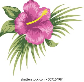Summer flowers.