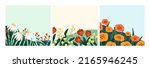 Summer flowers backgrounds set. Floral square card designs with garden blossomed flora. Postcards with blooming meadow plants, gentle wildflowers, chamomiles, poppies. Flat vector illustrations.