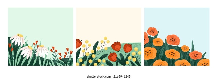 Summer flowers backgrounds set. Floral square card designs with garden blossomed flora. Postcards with blooming meadow plants, gentle wildflowers, chamomiles, poppies. Flat vector illustrations. - Shutterstock ID 2165946245