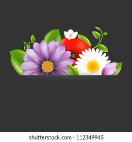 Summer Flowers With Divider On Dark, Vector Illustration