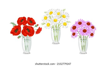 Flores de verano en un jarrón de vidrio. Conjunto de ramos de margaritas, adornos rojos y equinácea morada. Ilustración vectorial en estilo plano de caricatura.