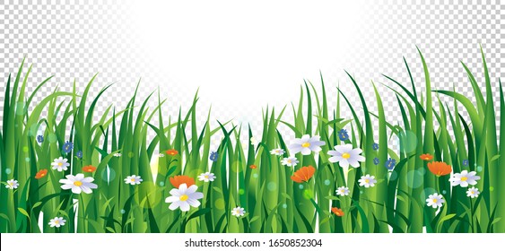 Summer flowers and grass on transparent background vector illustration. Colourful blooming plants cartoon style design. Springtime season and floral concept