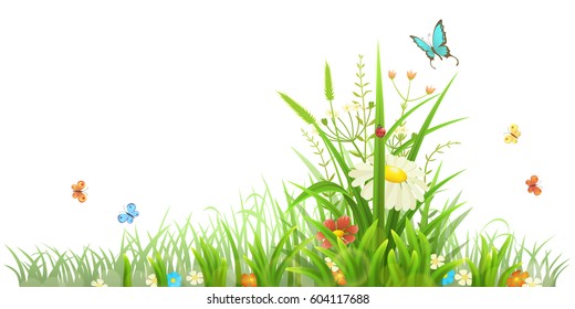 Multicolored Grass Tracing Vector Stock Vector (Royalty Free) 582557506