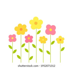 Summer flowers growing in the garden. Vector illustration.