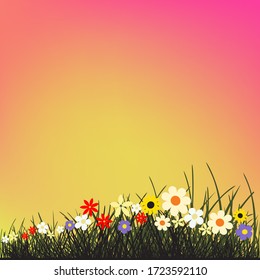 Summer flowers grows in grass. Beautiful spring or summer nature meadow.