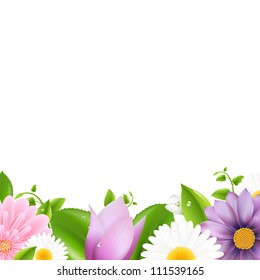 Summer Flowers With Leaf Border, Isolated On White Background, Vector Illustration