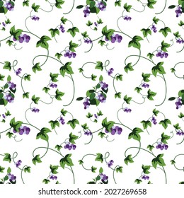 Las flores de verano y las hojas se caracterizan por un patrón impecable. Viña abstracta con uvas azules, hojas y ramas riñen un fondo ornamental interminable. Papel tapiz del jardín botánico. Ilustración vectorial con textura floral
