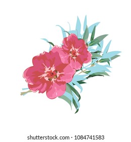 
summer flowers on white background.