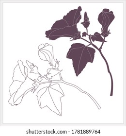 Summer flowers pattern.Image on white and colored background.