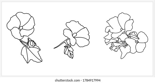 Summer flowers pattern.Image on white and colored background.