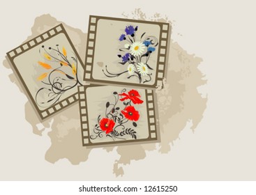Summer flowers photos vintage.