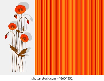 Summer flowers poppy
