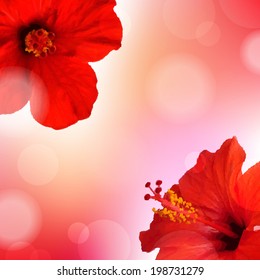 Summer Flowers Poster, With Gradient Mesh, Vector Illustration