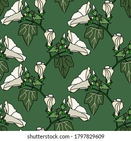 Summer flowers seamless  pattern.Image on white and colored background.