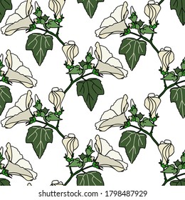 Summer flowers seamless  pattern.Image on white and colored background.