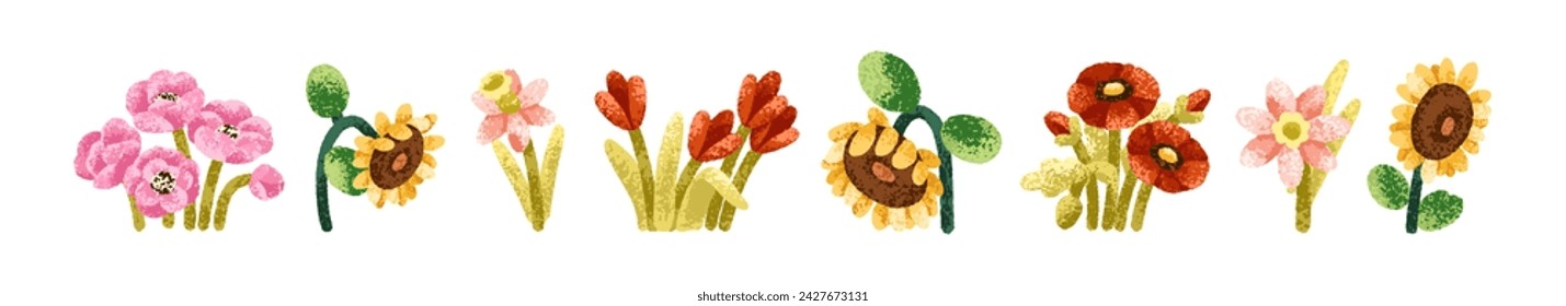 Summer flowers set. Field blooms, floral plants. Gentle delicate wildflowers. Blossomed spring anemone, sunflower, crocus, poppy buds and stems. Flat vector illustrations isolated on white background