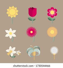 Summer Flowers summer Set.Set of Flowers vector.  Vector illustration