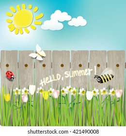 summer flowers, sun, bee, ladybug, butterfly.vector illustration