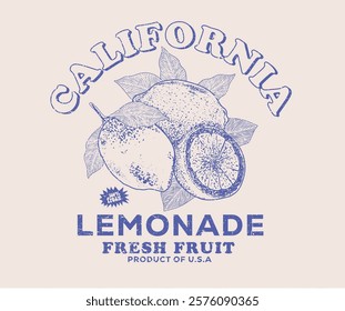 Summer food poster design. Lemon fruit artwork. Fresh lemon fruit print. California lemonade art. Organic food artwork for for t-shirt. Fruit vintage t-shirt design. Squeezed art.