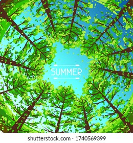 El fondo del bosque de verano con árboles estilizados. Ilustración estacional.