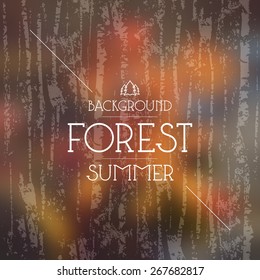 Summer forest blurred background and seamless pattern. Warm colors