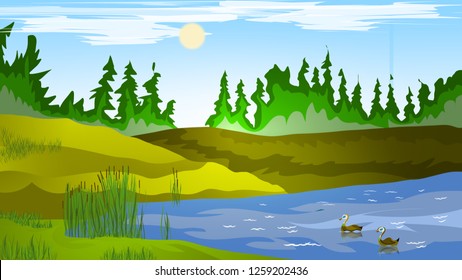 summer forest landscape. author's work. vector