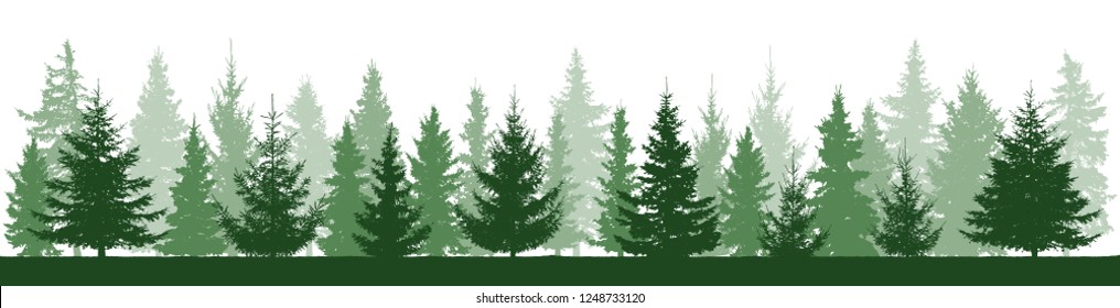 Summer forest landscape silhouette, beautiful spruces, panorama. Vector illustration