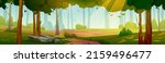 Summer forest landscape with trees in sun beam and path. Vector cartoon illustration of nature panorama with green grass and bushes, stones and sunlight rays