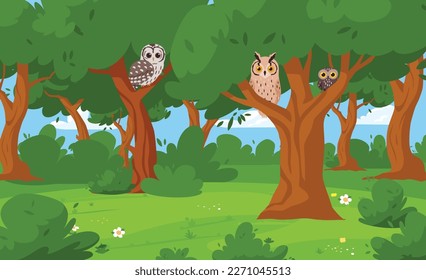 Summer forest with owls sitting on tree branches, cartoon vector illustration. Forest owl birds in wild natural habitat. Wildlife and nature topic banner layout.