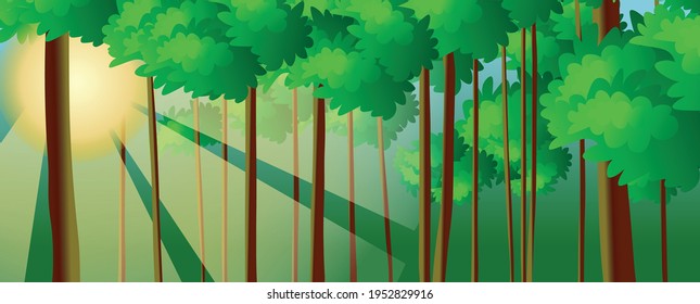 Summer forest in sunlight. Vector illustration EPS 10.