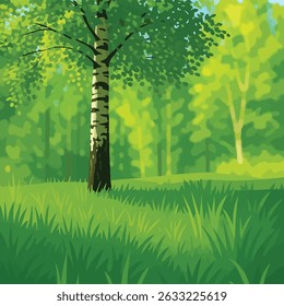 Summer forest vector illustration with birch trees in the foreground. Bright sunlight, vivid green grass, and dense tree foliage create a peaceful, natural atmosphere