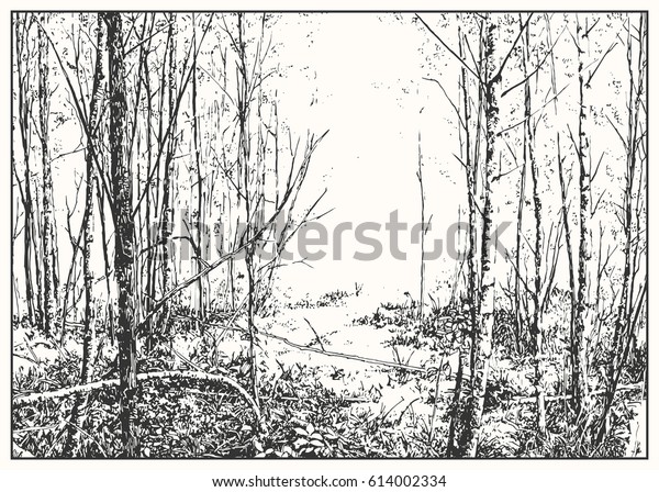 Summer Forest View Clear Background Pen Stock Vector