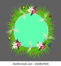 Summer frame flowers, grass, dragonflies