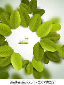 summer frame with fresh green leaves 