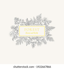 Summer frame with leaves and herbs. Vector botanical illustration. Gray background and yellow greeting. 