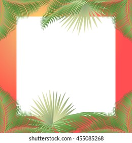 Summer frame, leaves palm tree. Tropical background. Vector illustration. Hand Drawn. For Art, Print, Scrapbook, Web design.