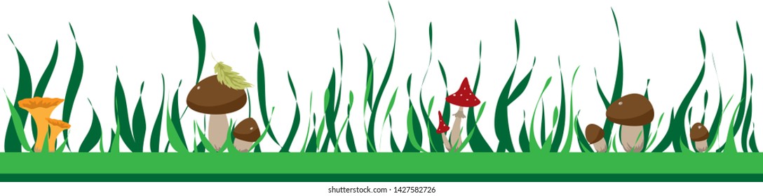 summer frame with mushrooms and grass, beating, tape