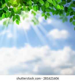 Summer fresh green leaves with sun rays on the sky