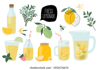 Summer fresh lemonade collection with  different elements isolated