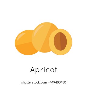 Summer fruit apricot icon isolated on white background. Vector eps 10 format.