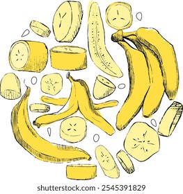 Composición redonda de plátano de frutas de verano para su logotipo. Ilustración gráfica. Ilustración vectorial