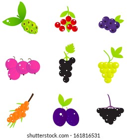 Summer Fruit and Berries set isolated on white 