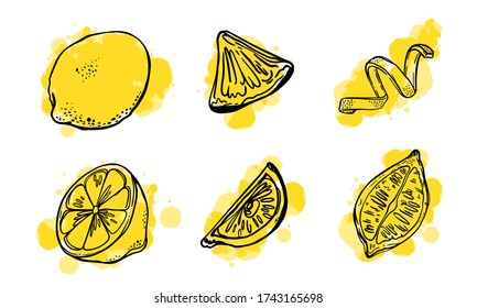 fondo de berry de fruta de verano, limón sobre fondo blanco, patrón de impresión de verano
